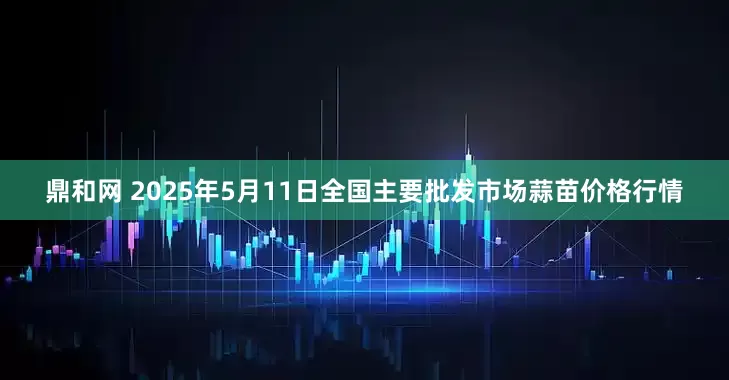 鼎和网 2025年5月11日全国主要批发市场蒜苗价格行情